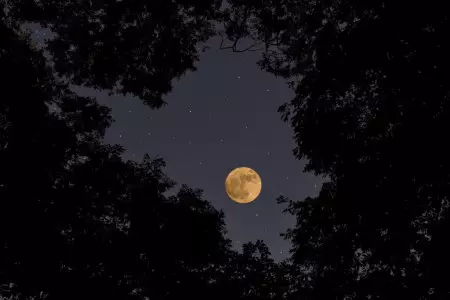 عوامل مهم در عکاسی از ماه